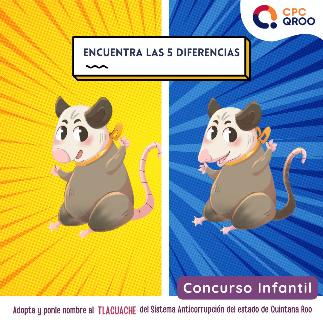 Conoce al Ganador